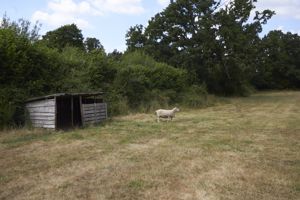 Land- click for photo gallery